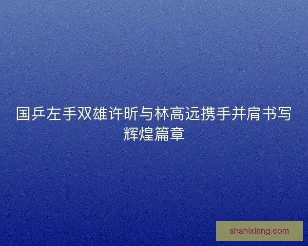 国乒左手双雄许昕与林高远携手并肩书写辉煌篇章