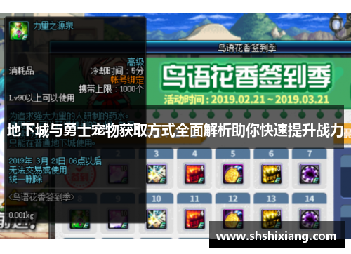 地下城与勇士宠物获取方式全面解析助你快速提升战力